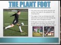 biomechanics sport analysis goalie punt