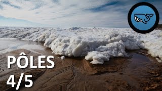 S02E103 : Pôles 4/5 : Glaces, océans et climat, Lydie Lescarmontier (glaciologue) BSG