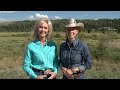 rfd tv gentle giants features jackson fork ranch