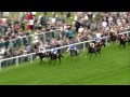 ride the prince of wales s stakes at royal ascot