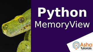 Python MemoryView