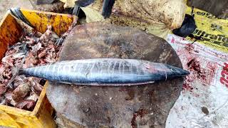 Tender Seer Fish | Vaajaram Meen Tender Cutting Skill in Kasimedu Market.