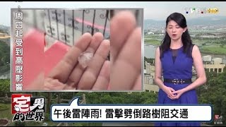 熱對流旺盛！汐止下冰雹 環河南路暴雨 宅男的世界 20160718 (完整版)