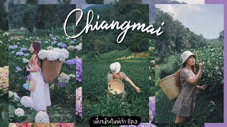 เที่ยวเชียงใหม่เจ้า Ep.3 | บ้านขุนแปะ - ไร่ชาลุงเดช - นิมมาน - ถนนคนเดินท่าแพ | a journey