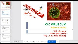 Các virus cúm (Influenza viruse) PGS.TS.BS Trần Đỗ Hùng