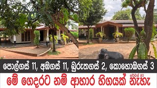 ගෙදර ඇතුලට පොකුණක් උඩින් එන්න තියෙන්නේ |Low Budget House Sale in Sri Lanka|#ApeSuduMalli-සුදුමල්ලි