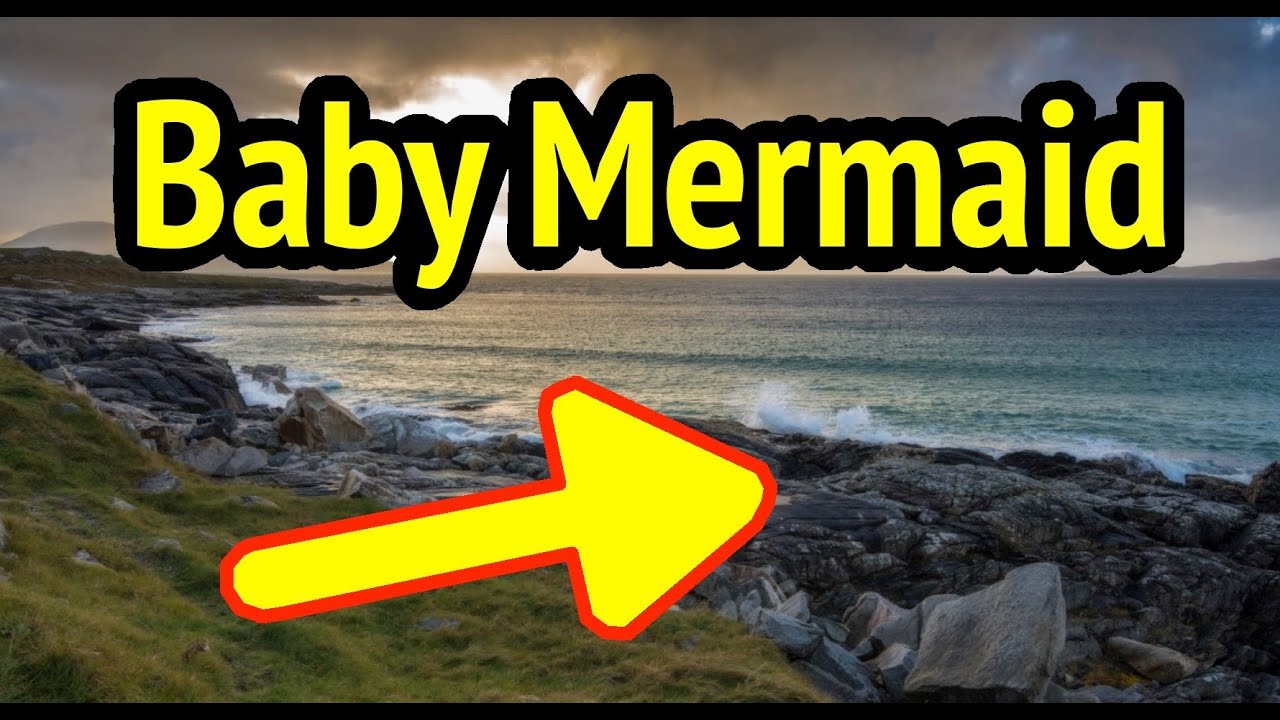 Mermaids Real Baby Tropical Sea Magical Mermaid Photoshoot Brick Nj
