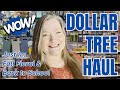 Fantastic Dollar Tree Haul ~ Fall Floral & Back to School 2025 Calendars & New Prices!