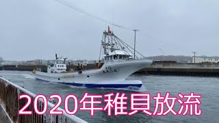 2020年稚貝放流！稚貝の入った入れ物をサロマ湖から上げて、籠に入れ替えて！ホタテ船（ところ丸）に積み込み海に巻く作業(^^♪