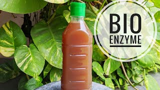 Bio Enzymes || Organic Dish Washing Liquid ||Multipurpose Cleaner || Preparation || Uses