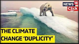 2022 United Nations Climate Change Conference | COP27 In Egypt | Global Warming | English News