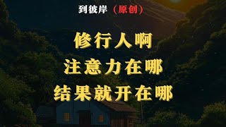 师傅说注意力在哪，结果就开在哪！到底什么意思啊？