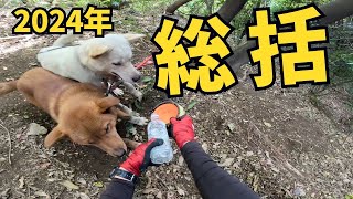 捕獲したイノシシを引き出した後、猟犬を迎えに行くまで、2024年の総括をしました。【単独狩猟】