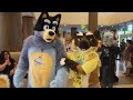 330 Furries! Fursuit Parade!! Tails and Tornados Fur Con 2023 LOBBY ANGLE no1