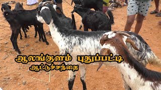 தென்காசி ஆலங்குளம் புதுப்பட்டிஆட்டு சந்தை