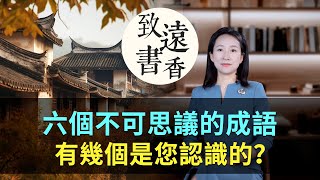 六個不可思議的成語，稀奇古怪，有幾個是您認識的？-致遠書香