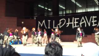 MILDHEAVEN　2013　桜泉祭「WORD」　ジャンルgirls