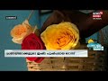 ഇന്ന് valentines day കാലം എത്ര മാറിയാലും പ്രണയ പുഷ്പം rose തന്നെ കുറച്ച് റോസാപ്പൂ വിശേഷങ്ങളിലേക്ക്