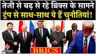 BRICS Expansion: Indonesia ने ली ब्रिक्स की सदस्यता, क्या है समूह के लिए बड़ी चुनौतियां?