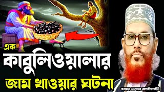 এক কাবুলিওয়ালার জাম খাওয়ার ঘটনা/আল্লামা দেলোয়ার হোসাইন সাঈদী ওয়াজ/Delowar Hussain saidi waz