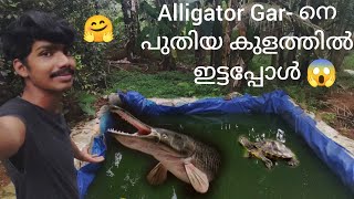 Alligator Gar- നെ പുതിയ കുളത്തിൽ ഇട്ടപ്പോൾ 😱