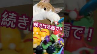 【メイキング】チョコエッグピクミンを盗む猫　#cat #猫 #猫のいる暮らし #ねこ #ピクミン　#チョコエッグ