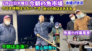 【地物は少】【送りの荷はまあまあ】【今朝は出漁⁉︎🛥️】今朝の魚市場2月20日木曜日の水揚げ状況