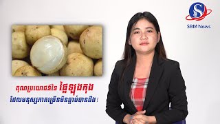 គុណប្រយោជនៃ ផ្លៃឡុងកុង ដែលមនុស្សភាគច្រើនមិនធ្លាប់បានដឹង!