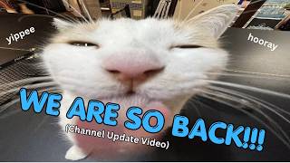 WE'RE SO BACK (update video)