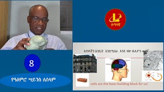 Lualawi ሉዓላዊ-የአዕምሮ ሳይንስሥ ለሰላም     -   አዕምሯችን እንዴት ነው የሚሰራው ?