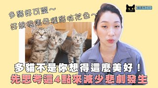 【想增加貓咪數量飼主必看】多貓好療癒？想增加貓前必想4件事！