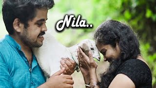 Penne nee ennum ende jeevananu.... | Malayalam Album Song | Nila | Jaffar Idukki