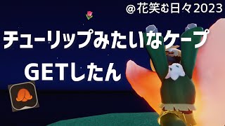 Sky短編集#606 今年のチューリップみたいなケープレビュー＠花笑む日々2023｜