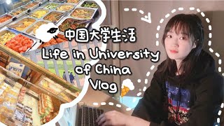 【🇨🇳大学生活Vlog】ゆったりした朝☀️/中国大陸/🥣食堂案内/買い物/修士生活