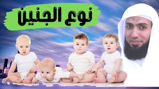 كيف تعرف نوع الجنين .. من خلال الرؤى والمنامات