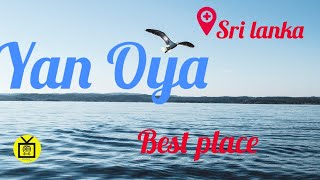 Yan oya/ Best place in sri lanka/ Sri Lankan River/ Nature/ Water