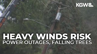 Heavy winds bring risk of power outages, falling trees in Willamette Valley