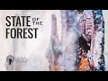 State of the Forest at World Forestry Center