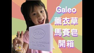 法國Galeo薰衣草精油馬賽皂