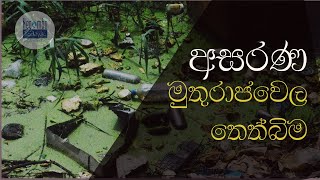 මුතුරාජවෙල ගින්නේ ඔබ දැකිය යුතු දසුන්... මේ පරිසර විනාශය නවත්වන්නේ කවදාද?