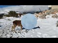 Χιονισμένη Πάρνηθα ❄️⛄