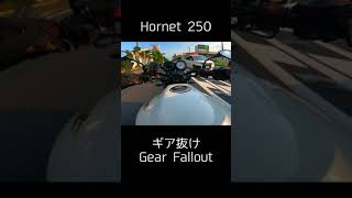 【危険?】ホーネット ギア抜け Hornet Gear Fallout