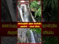 வனப்பகுதியில் புதிதாக தோன்றிய அருவிகள் மக்கள் வியப்பு