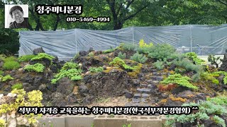 석부작자격증교육을하는한국석부작분경협회 작품(석가산조경)