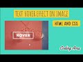 Text Hover Effect On Image Using Css - Html And Css Tutorial - Coding Area