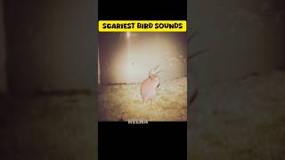 Weirdest scariest bird sounds #shorts