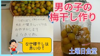 なぜ梅干しは赤いのか？　うめぼしの作り方　　〜土曜日食堂　本日休業〜　意外にカンタン