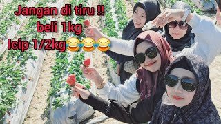 Vlog tkw hongkong||Serunya Panen STRAWBERRY di PHOENIX FARM FANLING PART 2||vian ayu