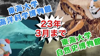 静岡日帰り旅行に行ってきた！の巻（後半）【東海大学海洋科学博物館と自然史博物館ほか】※説明欄に前半パートのリンク有り