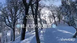 2021.1.15 氷ノ山❄️